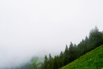 Berg Laber near Oberammergau, Allgäu. Bavarian landscape with trees in cloudy weather. Bad visibility in fog.