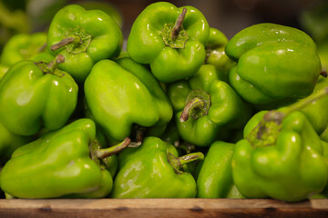 Green capsicum or bel peppers closeup with selective focus and blur