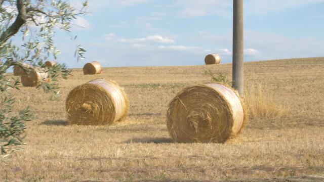 Hay bales in rural Tuscany landscape