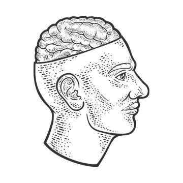 Open brain in head sketch raster illustration