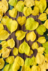 Yellow leaves on a wooden background. Golden autumn, background, top view.	