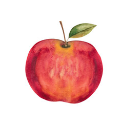 Watercolor apple, Autumn harvest, Red apple, Red fruit illustration, Apple isolate, Fruit on white background, Fall decoration, Apple with leaf, Harvest illustration, Healthy food 