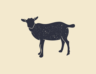 Little Baby Goat Cartoon vector illustration Isolated on White Background. Texture.