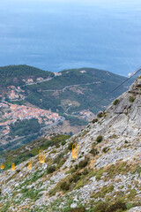Fototapeta premium Cabin lift in Monte Capanne, Isola D'Elba. The best aerial view of this nice mediterranean island