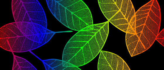 abstract pattern, -  rainbow openwork leaves on black background
 - obrazy, fototapety, plakaty