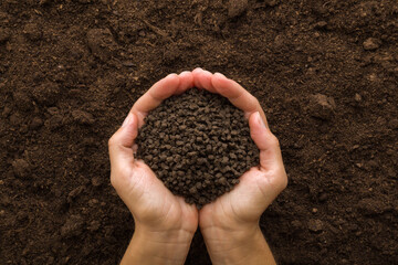 Young adult woman palms holding black granules of chicken manure on dark brown soil background. Product for root feeding of vegetables, flowers and plants. Closeup. Point of view shot. Top down view. - obrazy, fototapety, plakaty