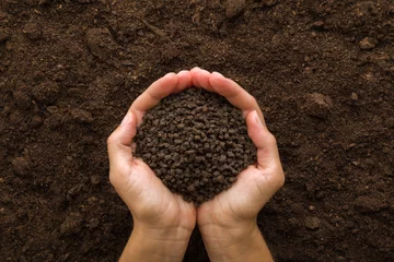 Deurstickers Young adult woman palms holding black granules of chicken manure on dark brown soil background. Product for root feeding of vegetables, flowers and plants. Closeup. Point of view shot. Top down view. © fotoduets