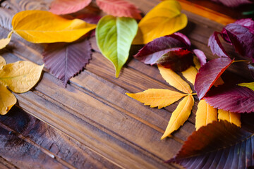 Naklejka na ściany i meble Autumn background, red, yellow, green leaves on a wooden brown background