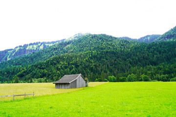 Fototapeta premium Landscape in Tyrol, Austria. Nature with mountains and trees