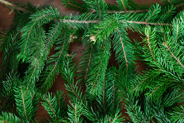 Background of green fir branches for Christmas New Year celebration greeting card design