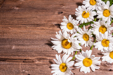 Obraz premium Chamomiles on a wooden background