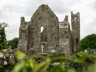 Irish Old Cemetery in Limerick