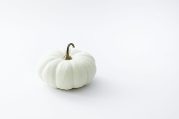 White baby boo pumpkins miniature