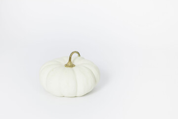 White baby boo pumpkins miniature