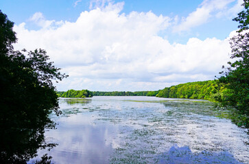 Thülsfeld reservoir. View of the lake and the surrounding nature.