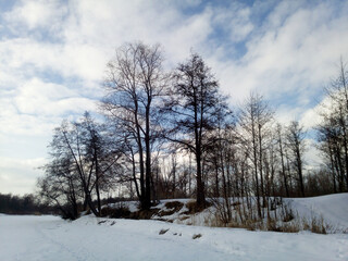 Beautiful winter landscape with black silhouettes of bare trees on the bank of frozen river