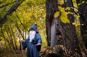 A wizard with a long gray beard and a cloak in a deep forest. An elderly man in a witcher costume