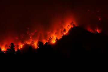 Fototapeta na wymiar Night view of a forest fire in a steep rocky terrain. Flames, sparks and smoke rise to the sky. Silhouettes of pine trees are visible among the flames.