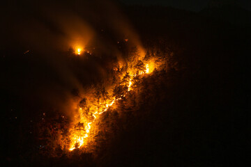 The fire is advancing in a line. Night view of a forest fire in a steep rocky terrain. Flames, sparks and smoke rise to the sky. Silhouettes of pine trees are visible among the flames.
