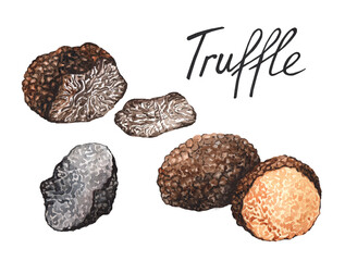 Whole and half black truffle mushroom - obrazy, fototapety, plakaty