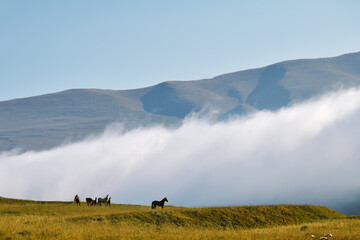 Obraz premium Chechen scenery. Chechnya, Russia
