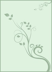 Obraz na płótnie Canvas leaf and flower background photo frame