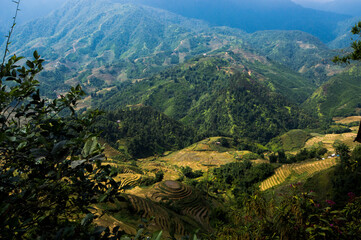 Landscape of Sa Pa, Vietnam, featuring rice fields.