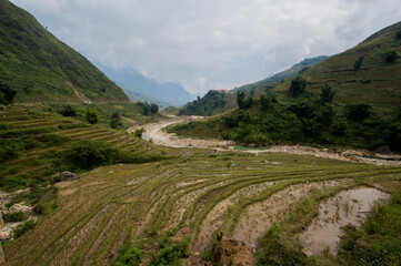 Landscape of Sa Pa, Vietnam, featuring rice fields.