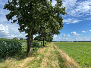 Obraz premium Farmland around around Bakkeveen