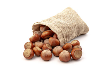 fresh hazelnuts in a canvas bag on white background