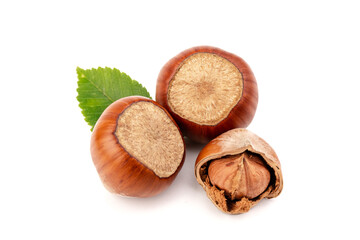 Ripe filbert and green leaves isolated on white