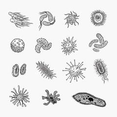 Simple set of bacteria virus icons for web design