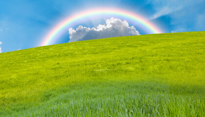 Beautiful landscape with green grass field amazing rainbow in the background 