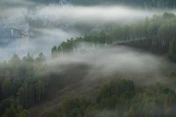 Autumn landscape of foggy forest
