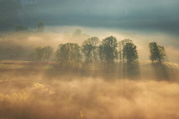 Fototapeta premium Mountain landscape with morning fog, at the forest edge, in Apuseni Mountains, Romania
