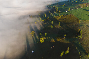 Mountain landscape with morning fog, at the forest edge, in Bukovina, Romania