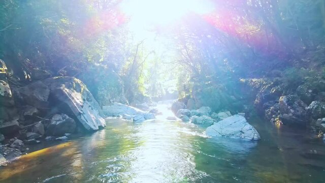 【空撮】木漏れ日が射しこむ神秘的な渓流。緑の木々に囲まれた川の岩場。