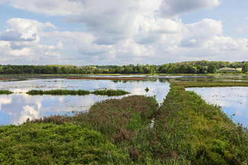 Fototapeta na wymiar Overlooking the lake in the reserve Het Vinne in the Vicinity of Zoutleeuw