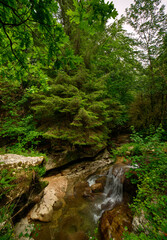 Gorges de Thurignin sur le Séran à Belmont-Luthézieu, Ain, France