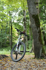Fototapeta na wymiar Modern mountain bike on a forest path. Bicycle surrounded by trees and bushes. High quality photo