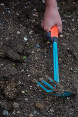 young woman is hoeing the soil of the vegetables she planted in the garden of her house