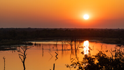 Sunset at the waterhole in Kruger