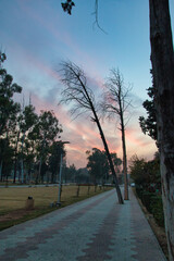 &ldquo;In every change, in every falling leaf there is some pain, some beauty. And that's the way new leaves grow.&rdquo;