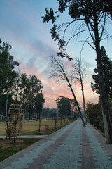 “In every change, in every falling leaf there is some pain, some beauty. And that's the way new leaves grow.”