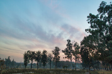 &ldquo;In every change, in every falling leaf there is some pain, some beauty. And that's the way new leaves grow.&rdquo;