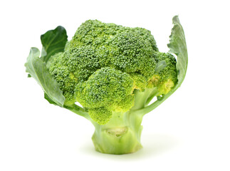 Broccoli vegetable on white background 
