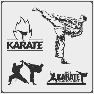 Karate club emblems, labels and design elements. Print design for t-shirt.
