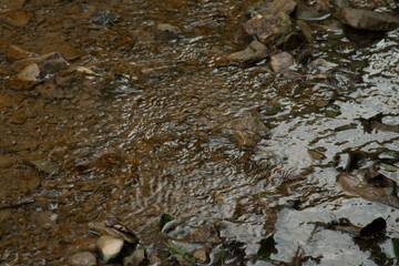 Texture of water in the river was where the bottom is visible