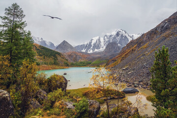 Autumn rainy alpine landscape with beautiful shallow mountain lake with streams in highland valley from bigger mountains under cloudy sky. Upper Shavlin Lake in the Altai.