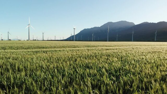 General view of wind turbines in countryside landscape with cloudless sky